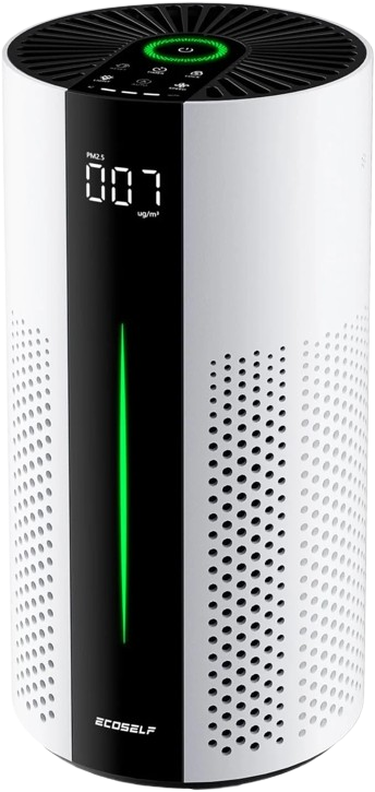 ECOSELF HAP609 Air Purifiers